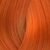 GINGER